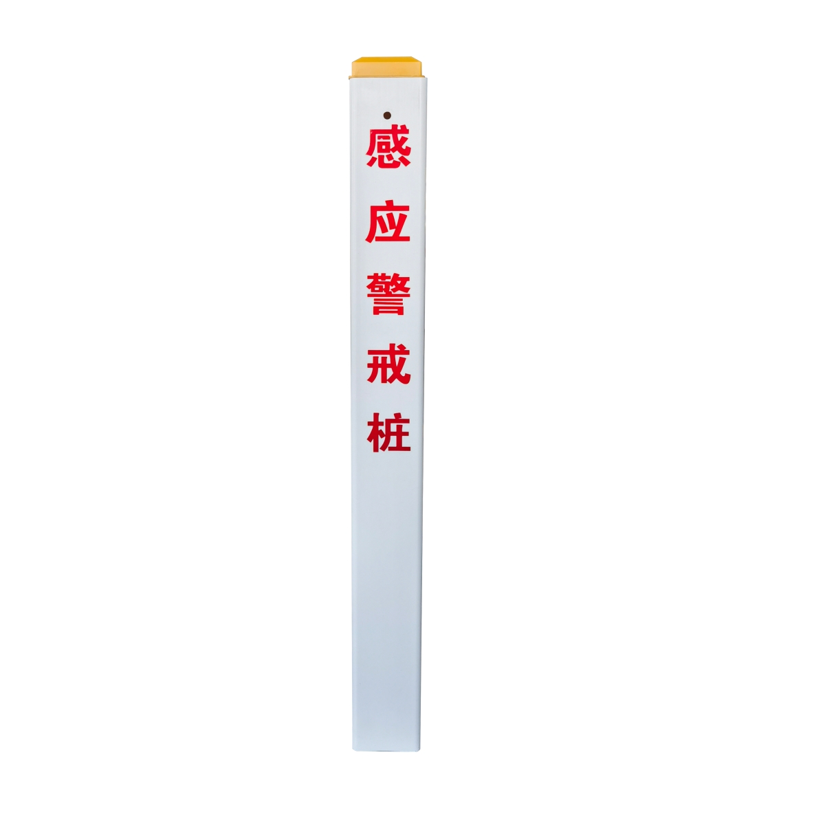 免费中日高清无专码在线